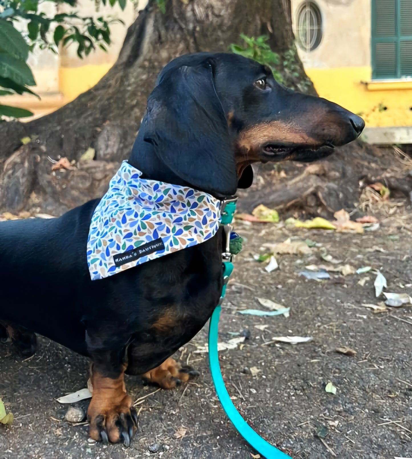 Bandana PETALO