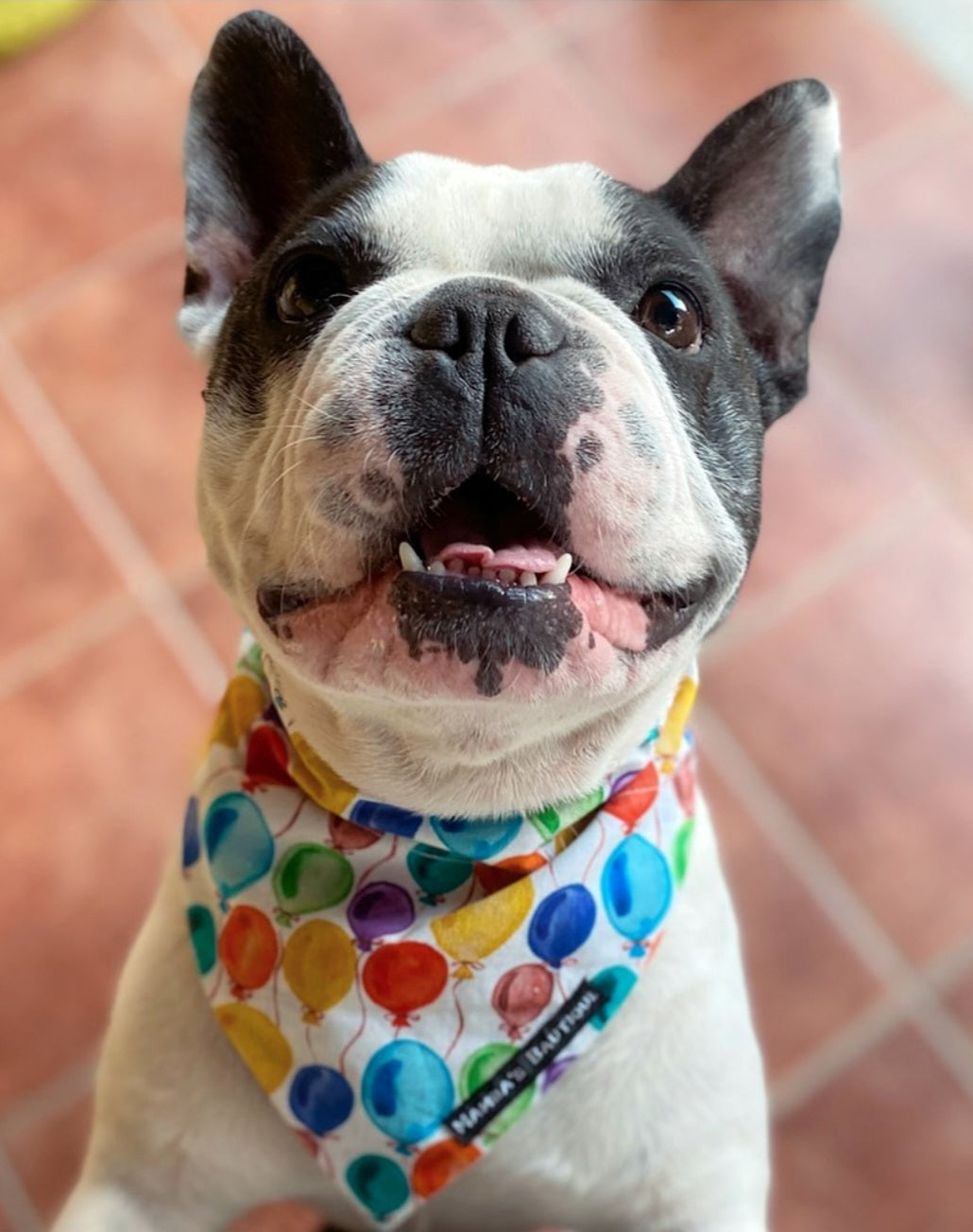 Bandana PARTY