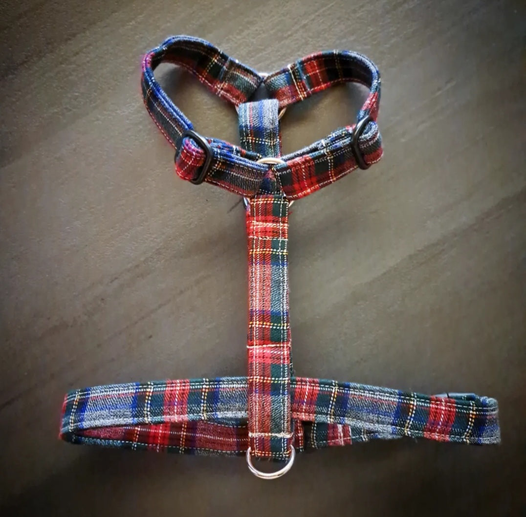 Pettorina TARTAN
