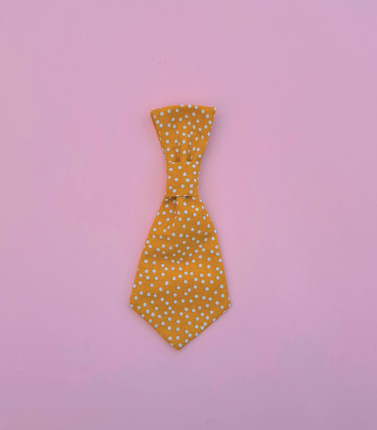 Cravattino POIS