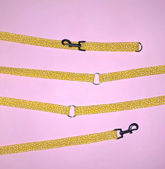 POIS Multiposition Leash