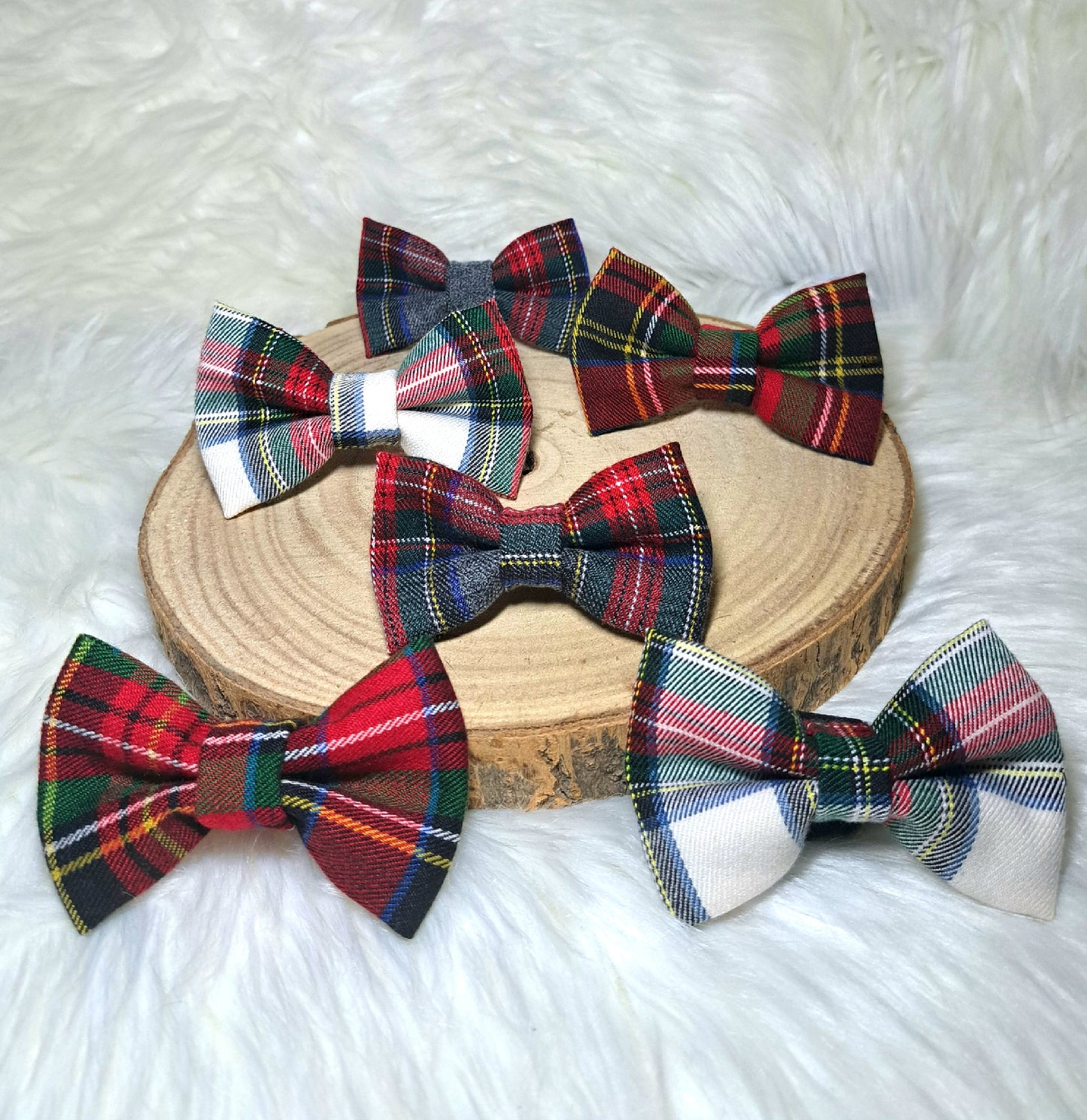 Papillon TARTAN