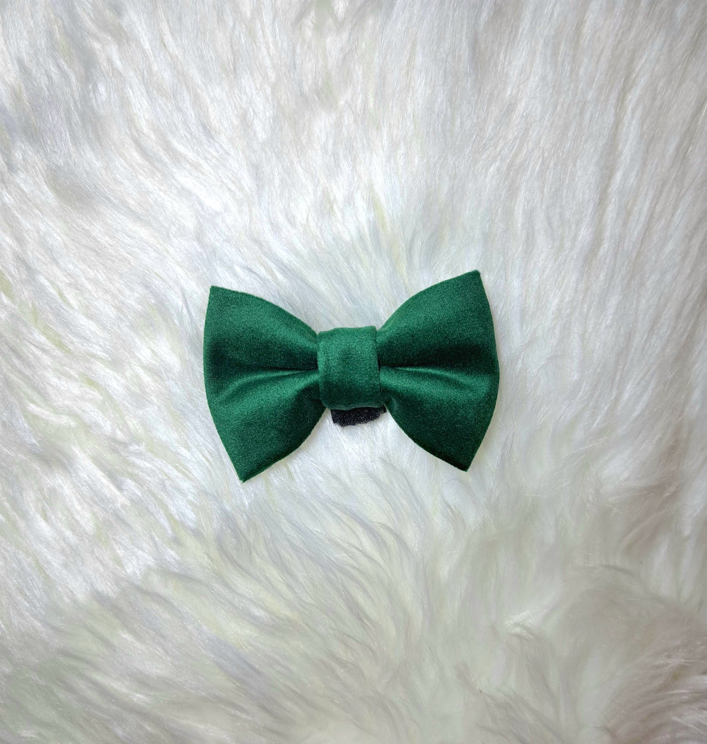 VELVET bow tie