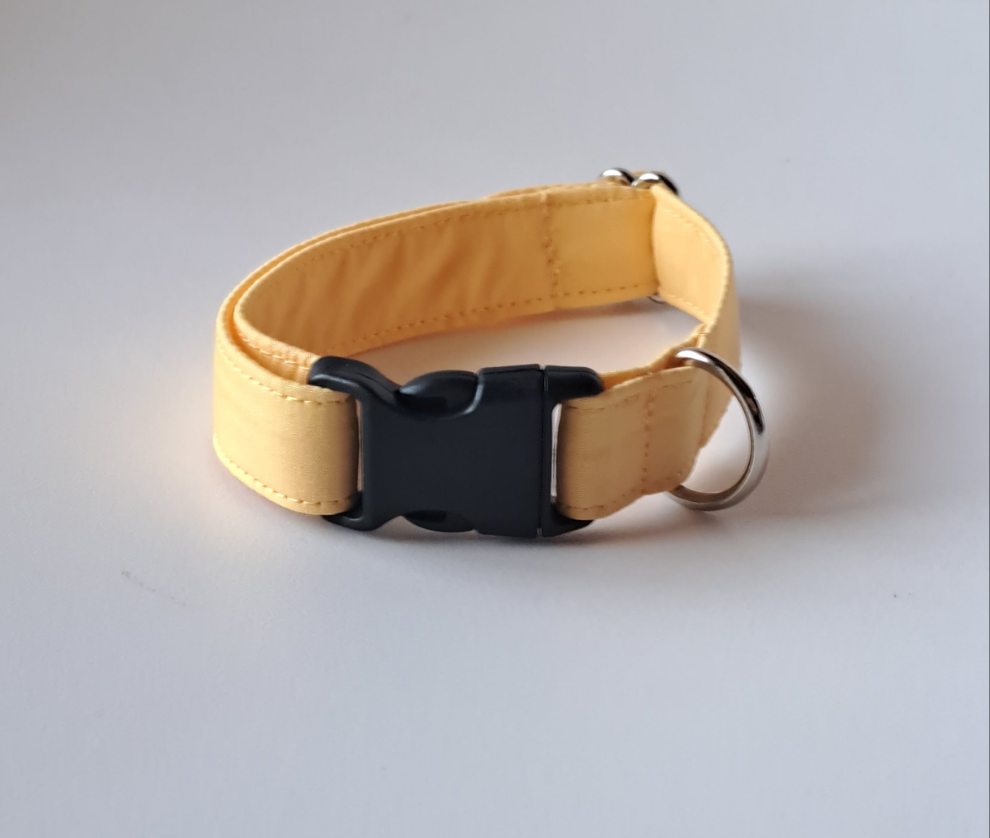 BASIC COLORS collar