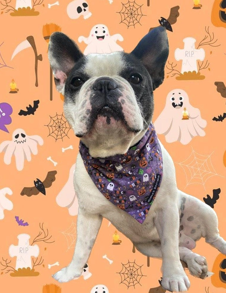 Bandana HALLOWEEN