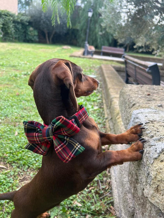 Sailor Bow TARTAN