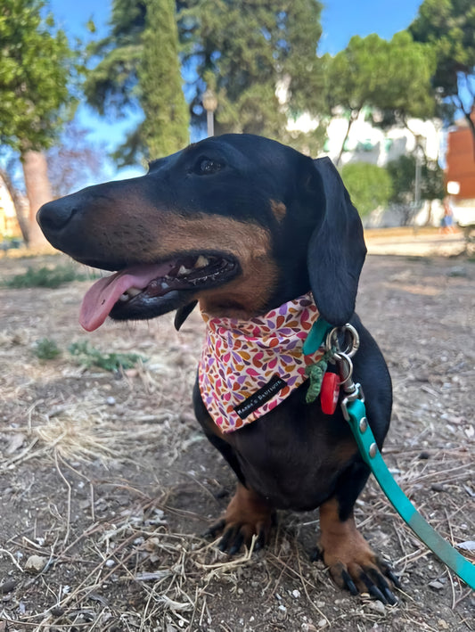 Bandana PETALO