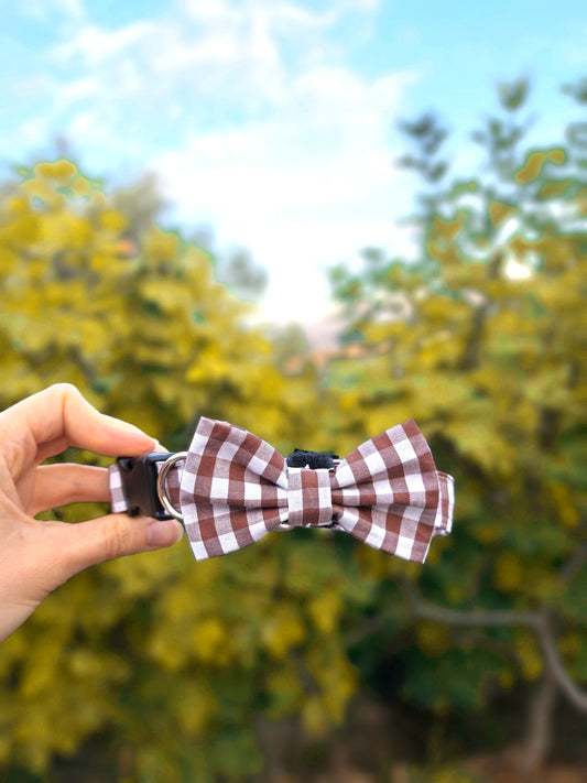 Collare CHOCO FALL